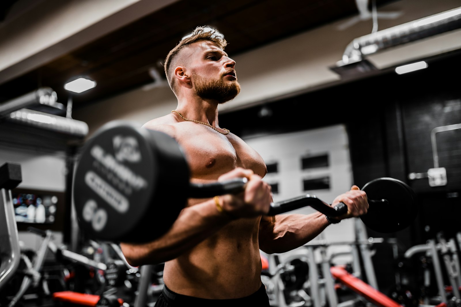 Best Nofap And Testosterone Supplements, Ranked